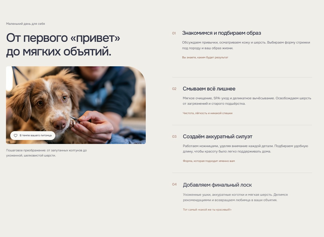 Как проходит груминг